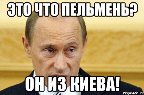 это что пельмень? он из киева!, Мем путин