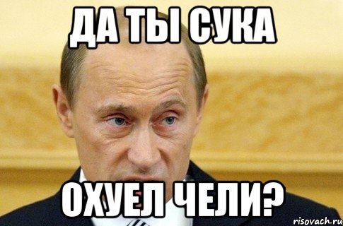 да ты сука охуел чели?, Мем путин