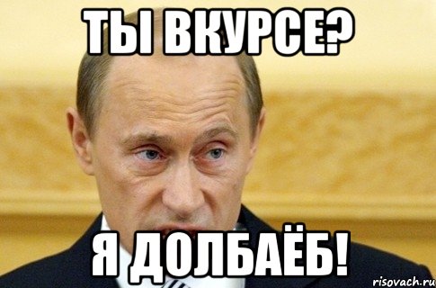 ты вкурсе? я долбаёб!, Мем путин