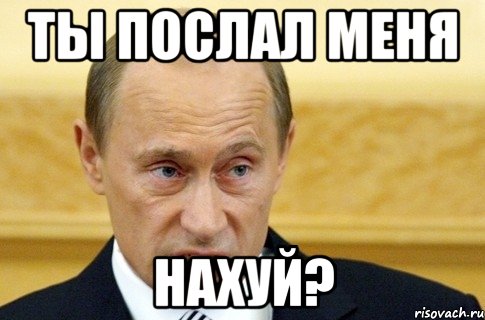 ты послал меня нахуй?, Мем путин