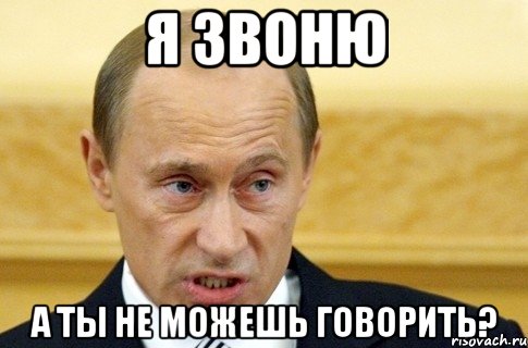 я звоню а ты не можешь говорить?, Мем путин