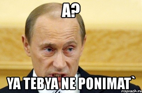 a? ya tebya ne ponimat`, Мем путин