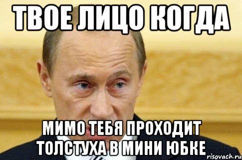 твое лицо когда мимо тебя проходит толстуха в мини юбке, Мем путин