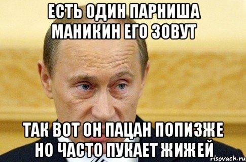 есть один парниша маникин его зовут так вот он пацан попизже но часто пукает жижей, Мем путин