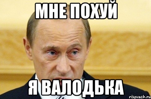 мне похуй я валодька, Мем путин