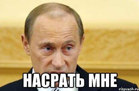  насрать мне, Мем путин