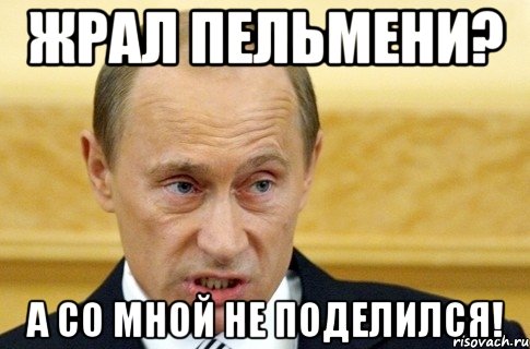 жрал пельмени? а со мной не поделился!, Мем путин