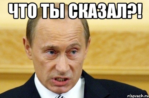 что ты сказал?! , Мем путин