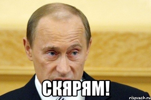  скярям!, Мем путин