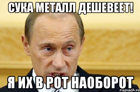 сука металл дешевеет! я их в рот наоборот, Мем путин