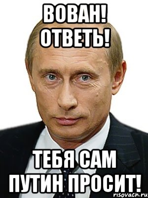 вован! ответь! тебя сам путин просит!, Мем Путин