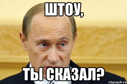 штоу, ты сказал?, Мем путин