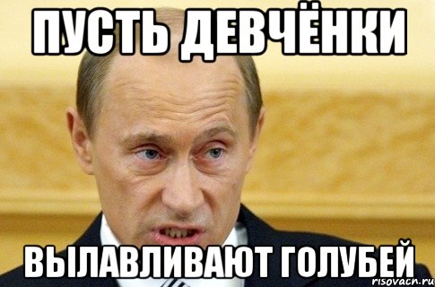 пусть девчёнки вылавливают голубей, Мем путин