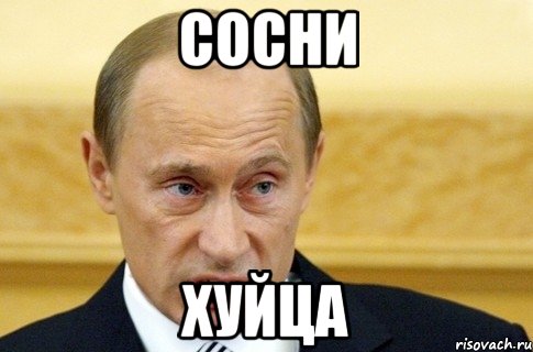 сосни хуйца, Мем путин