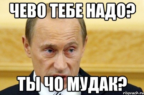 чево тебе надо? ты чо мудак?, Мем путин