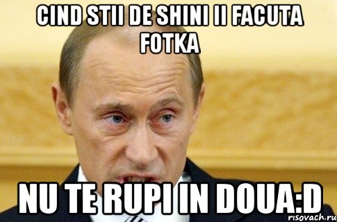 cind stii de shini ii facuta fotka nu te rupi in doua:d, Мем путин