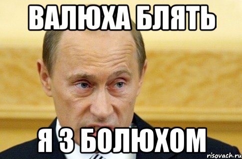 валюха блять я з болюхом, Мем путин