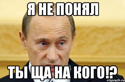 я не понял ты ща на кого!?, Мем путин