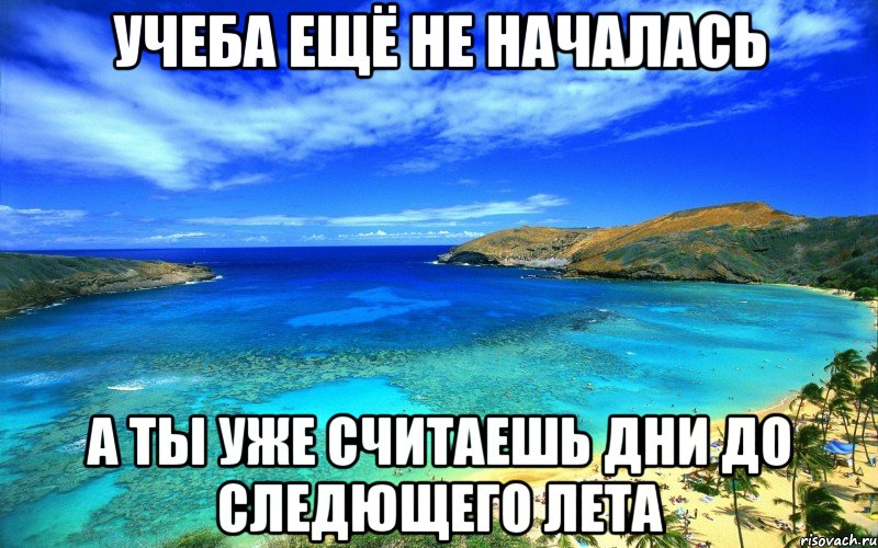 учеба ещё не началась а ты уже считаешь дни до следющего лета, Мем пвпап