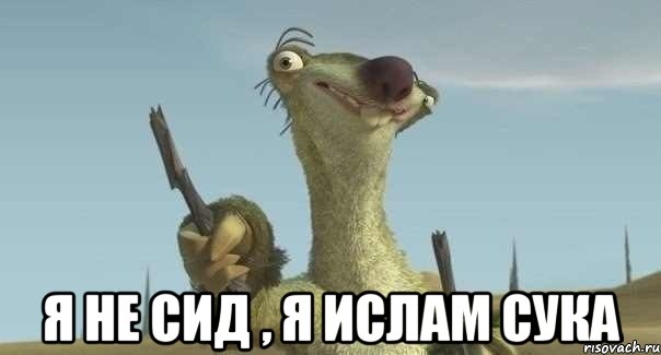  я не сид , я ислам сука, Мем Р