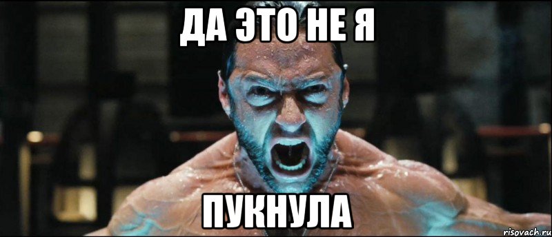 да это не я пукнула, Мем работа