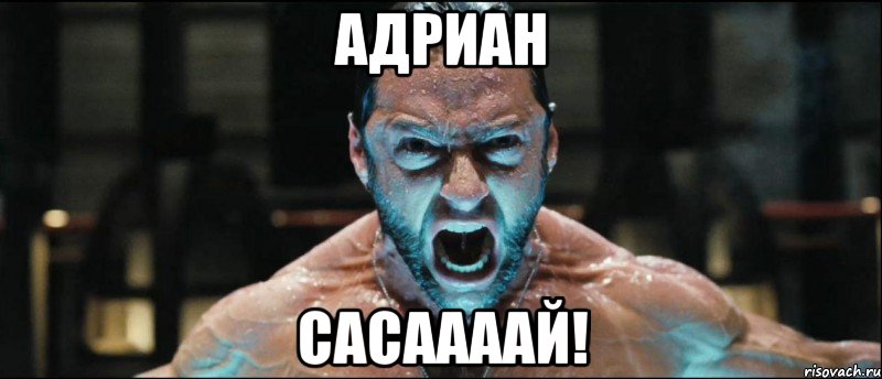 адриан сасаааай!, Мем работа