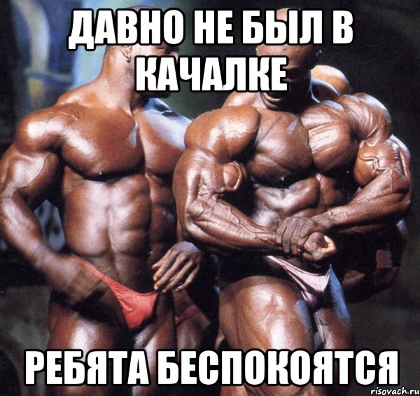 давно не был в качалке ребята беспокоятся, Мем Ребята спрашивали
