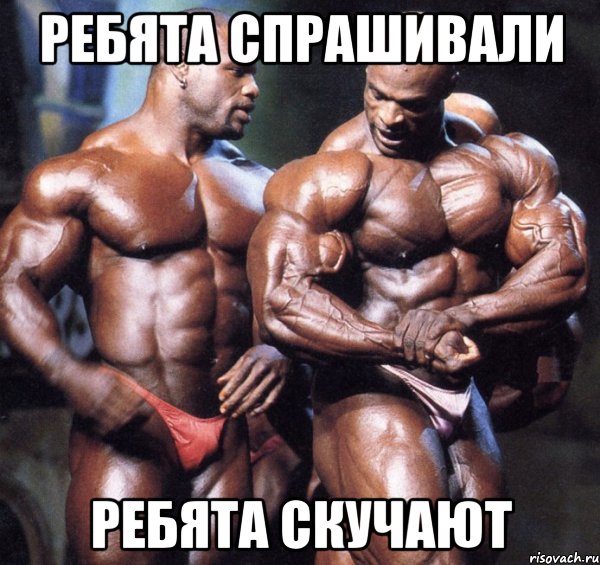 ребята спрашивали ребята скучают, Мем Ребята спрашивали