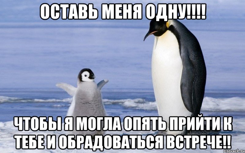 оставь меня одну!!! чтобы я могла опять прийти к тебе и обрадоваться встрече!!, Мем ррррр