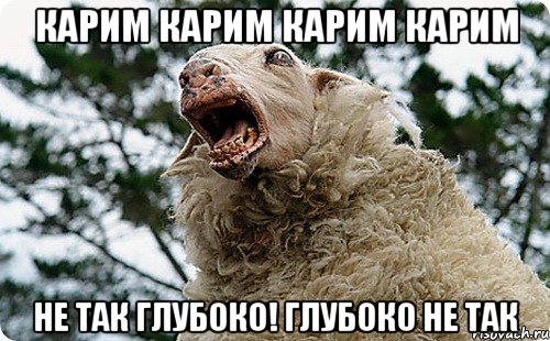 карим карим карим карим не так глубоко! глубоко не так