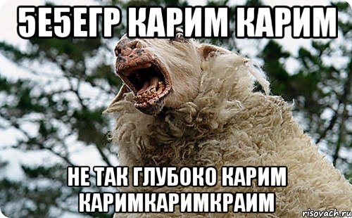 5е5егр карим карим не так глубоко карим каримкаримкраим