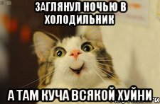 заглянул ночью в холодильник а там куча всякой хуйни, Мем sara