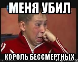 меня убил король бессмертных