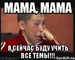 мама, мама я сейчас буду учить все темы!!!, Мем  Сашок Фокин