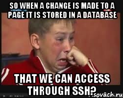 so when a change is made to a page it is stored in a database that we can access through ssh?, Мем  Сашок Фокин