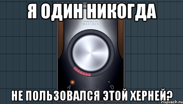 я один никогда не пользовался этой херней?, Мем саундгудизер