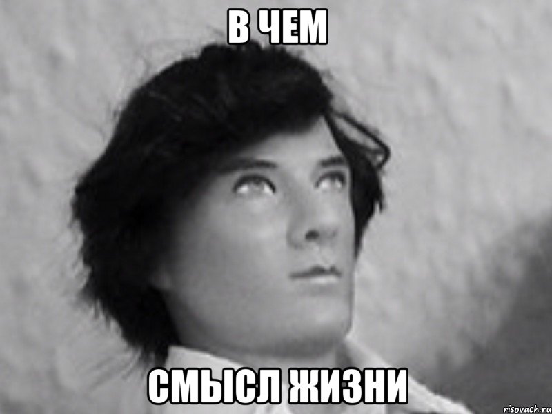 в чем смысл жизни, Мем Шерл