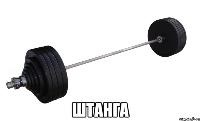  штанга, Мем ШТАнга