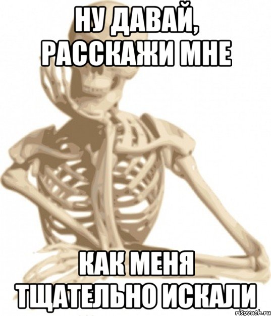 ну давай, расскажи мне как меня тщательно искали, Мем скелетон