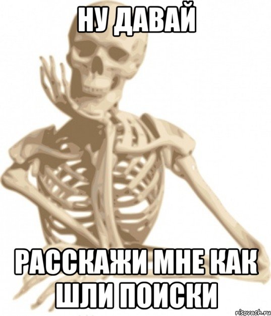 ну давай расскажи мне как шли поиски, Мем скелетон