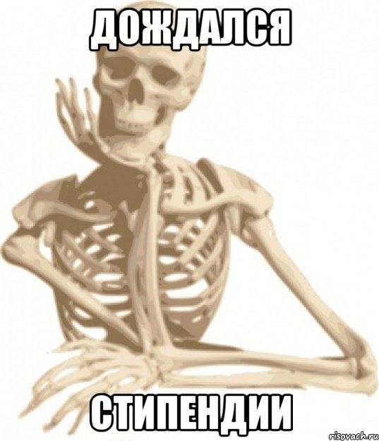 дождался стипендии, Мем скелетон
