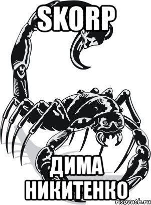 skorp дима никитенко, Мем скорб