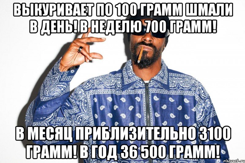 выкуривает по 100 грамм шмали в день! в неделю 700 грамм! в месяц приблизительно 3100 грамм! в год 36 500 грамм!, Мем snoop dogg