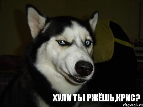 Хули ты ржёшь,Крис?, Комикс  Собака подозревака