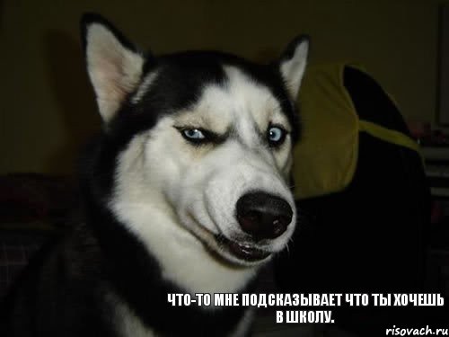 Что-то мне подсказывает что ты хочешь в школу., Комикс  Собака подозревака