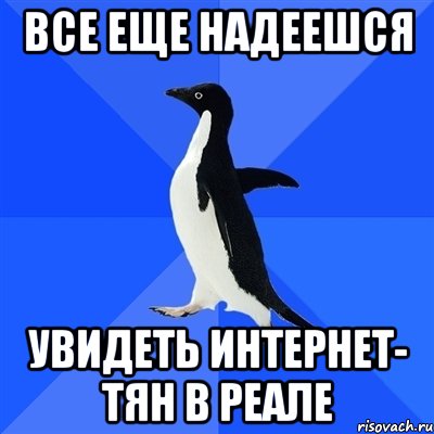 все еще надеешся увидеть интернет- тян в реале, Мем  Социально-неуклюжий пингвин