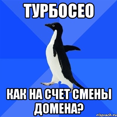 турбосео как на счет смены домена?, Мем  Социально-неуклюжий пингвин