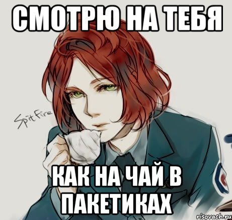 смотрю на тебя как на чай в пакетиках, Мем Спитфайр