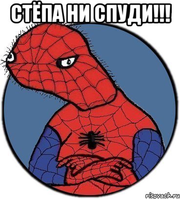 стёпа ни спуди!!! , Мем Спудик