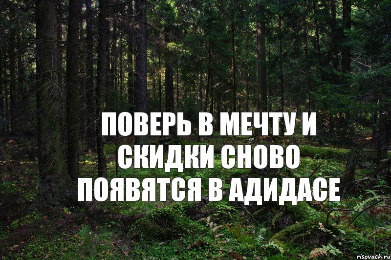 Поверь в мечту и скидки сново появятся в Адидасе, Комикс СС